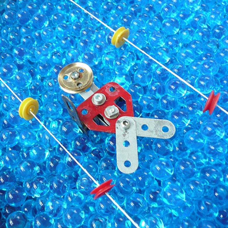 The swimmer The swimmer
