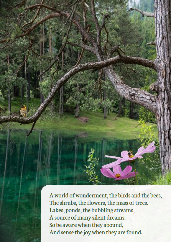 ‘A World of Wonderment’ ‘A World of Wonderment’